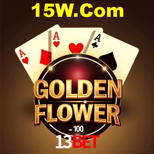 Interface Premium 13bet